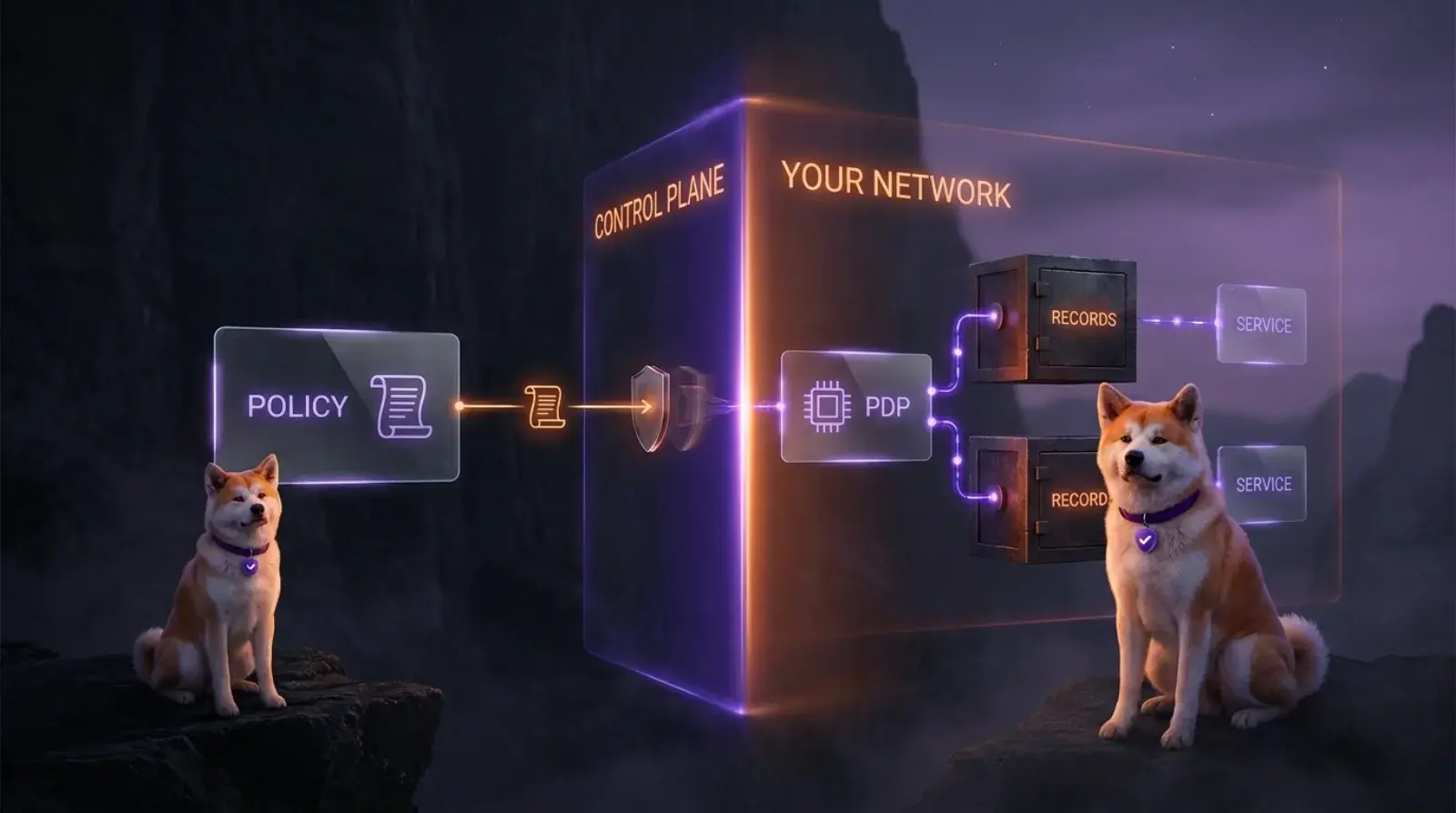 Diagram of a boundary between the control plane and your network: policy syncs across it to a decision point that runs inside the network, next to the records and services it protects.