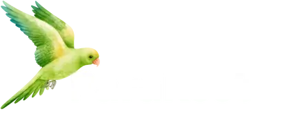 Parakeet Financial